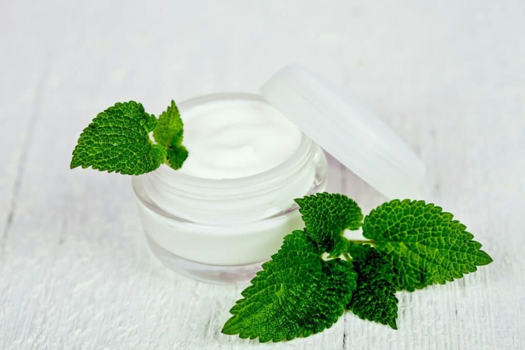 Jar of white face cream with fresh mint leaves