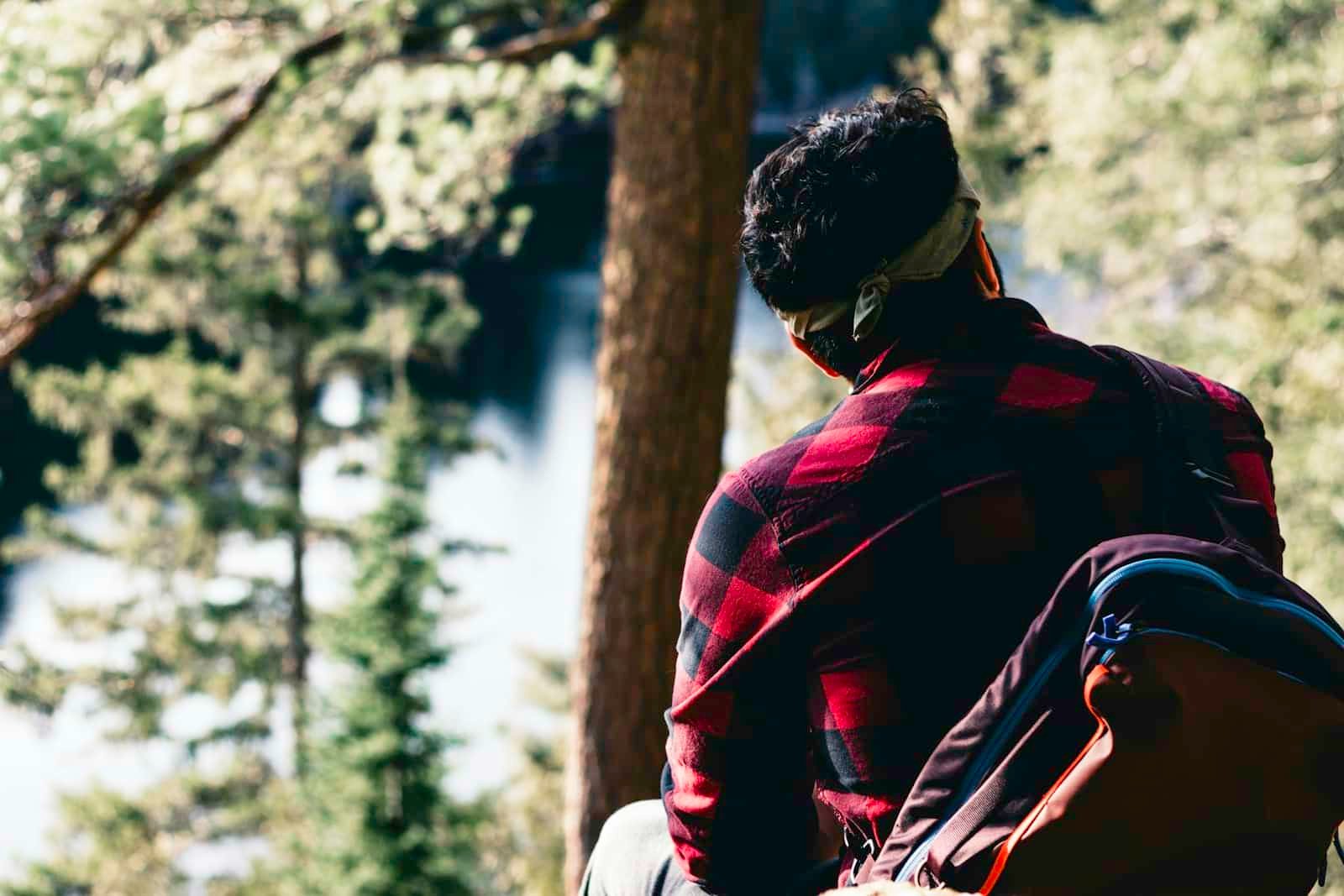 Man in a red and black plaid flannel shirt sitting in a pine forest